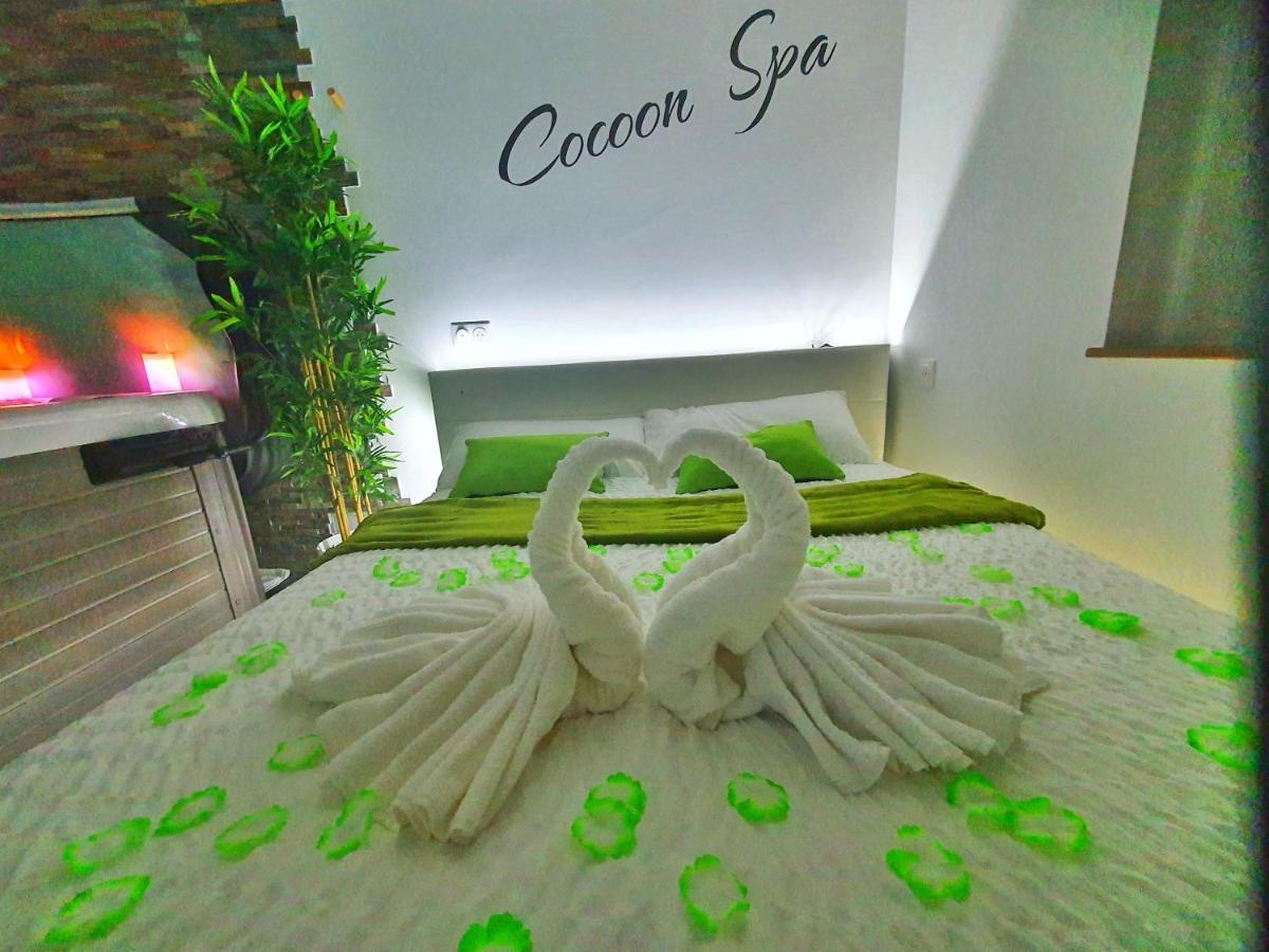 -Gite Cocoon Spa-Jacuzzi-Jardin-Parking Prive-Climatisation Holtzwihr Buitenkant foto