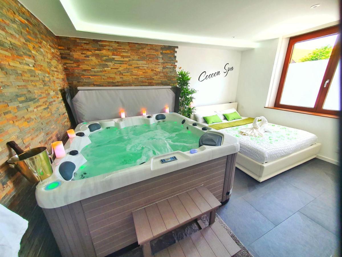 -Gite Cocoon Spa-Jacuzzi-Jardin-Parking Prive-Climatisation Holtzwihr Buitenkant foto